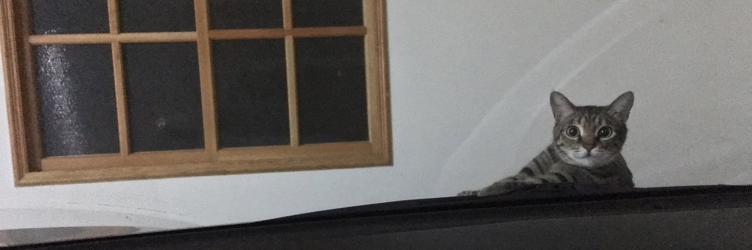 Nottipitton's profile banner image