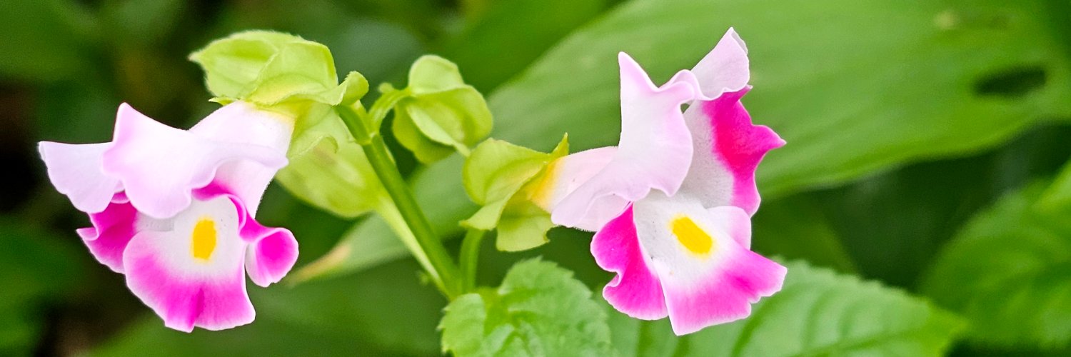 potretSenin's profile banner image