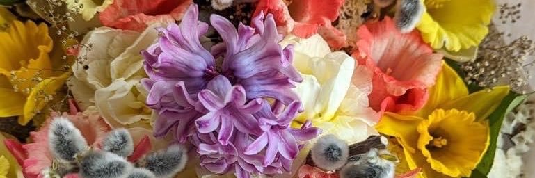 opal_12287630's profile banner image