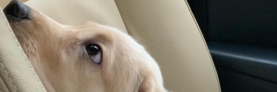 who__nik's profile banner image