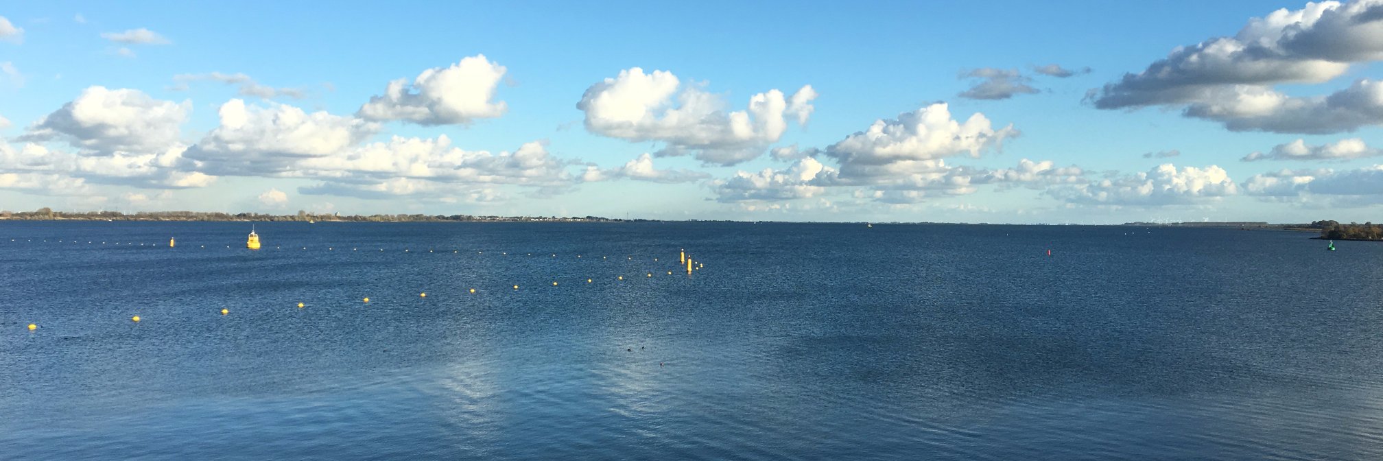 𝗔𝗹𝗯𝘂𝘀 𝘁𝗵𝗲 𝗩𝗮𝗻 (𝗦𝗮𝗺) banner