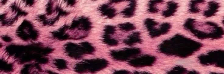 𖤐🎀 ケイト 🎀𖤐 banner