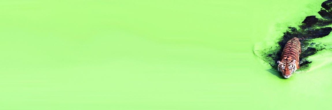 dagra2's profile banner image