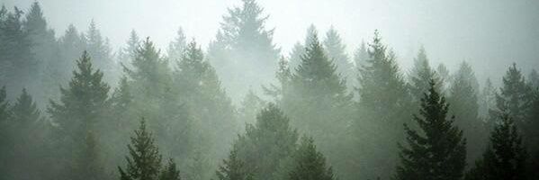 naveenmsd_'s profile banner image