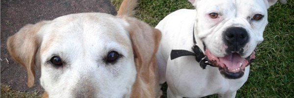chuco_cai's profile banner image