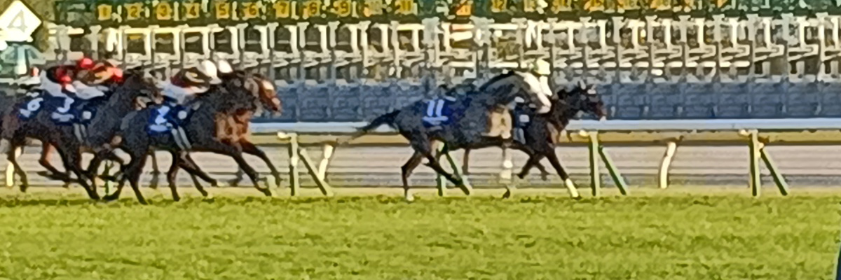 胃薬💊🤮🍶DJ腕組みマン banner