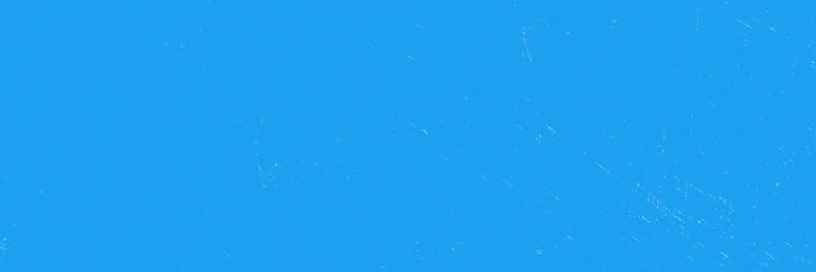 razvberi's profile banner image