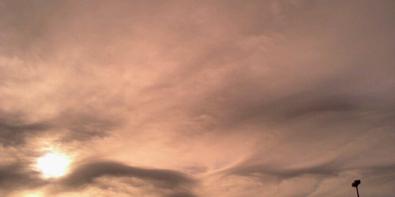 Bonesweems's profile banner image