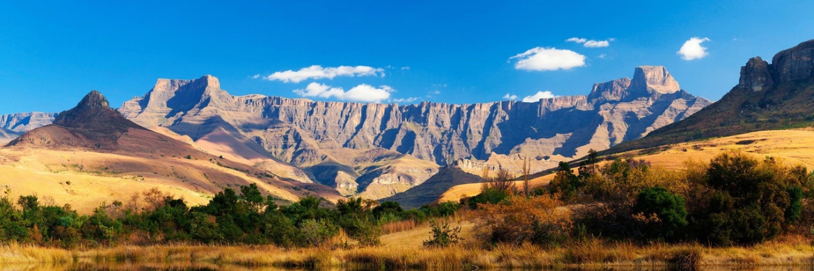 A.D. 🇸🇴 banner