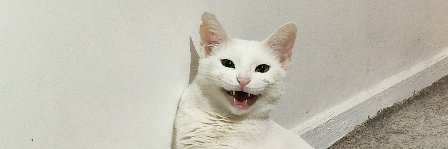 bysiavash's profile banner image