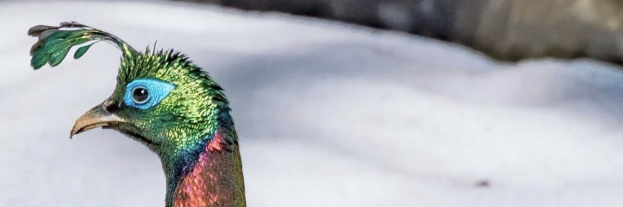 my bio has trash init banner