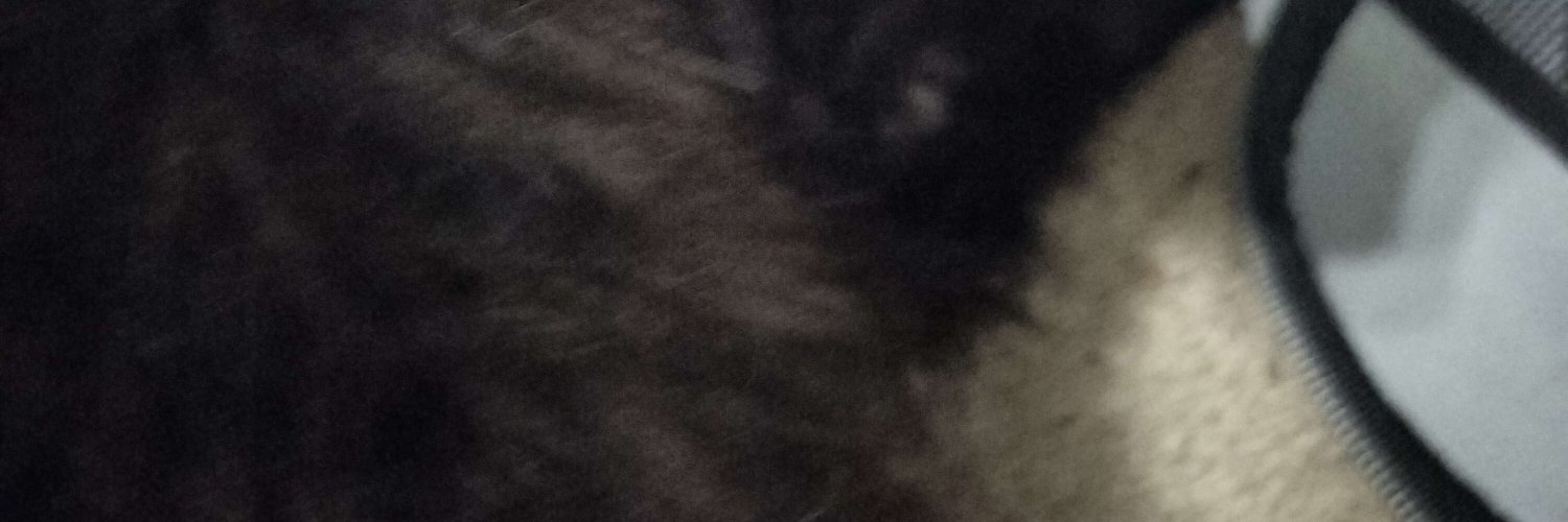 KittyVex Gaming banner