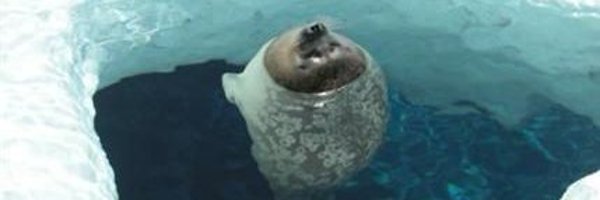 MilkRaise Profile Banner