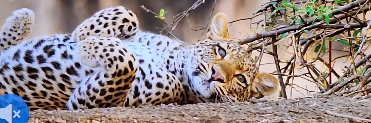 مسلم بن عوسجه's banner