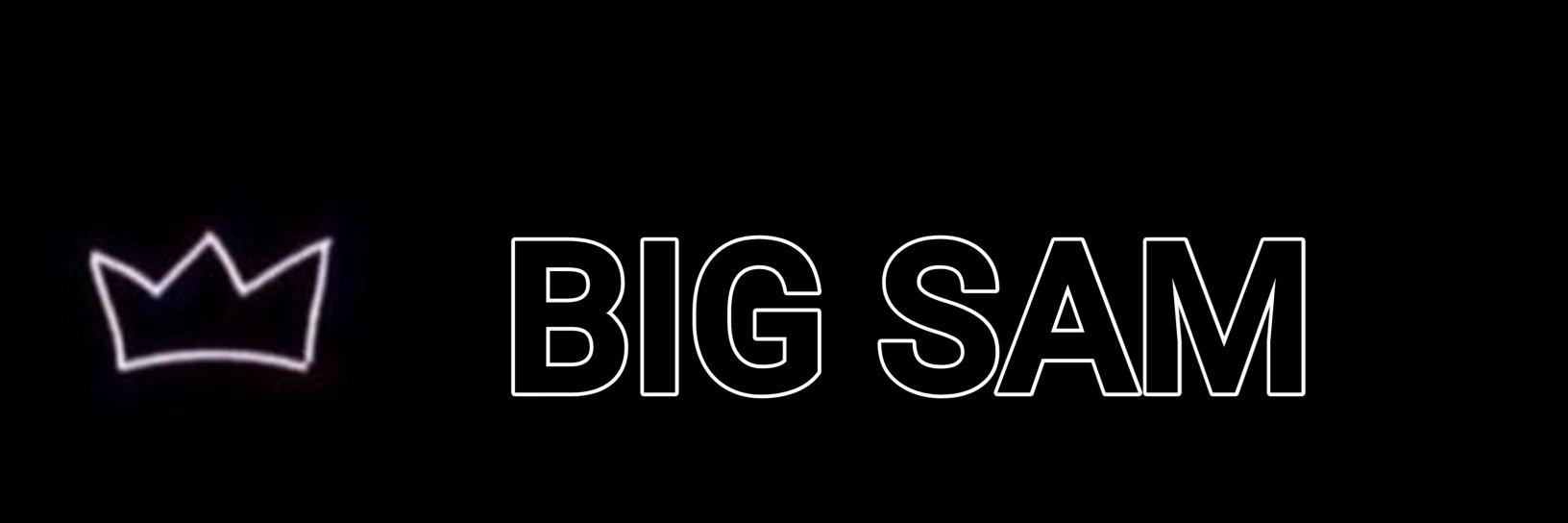 Big Sam✨💫's banner