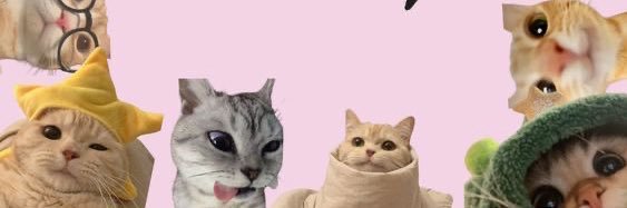 Zackychaaa 💙 banner