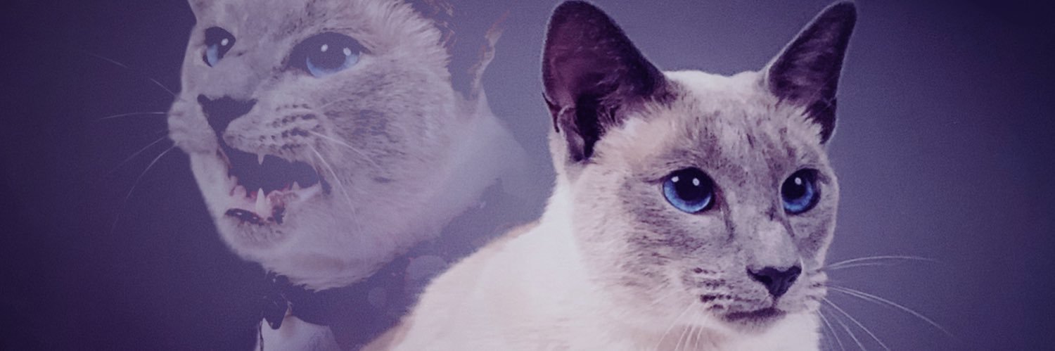 Sad_Chameleon's profile banner image