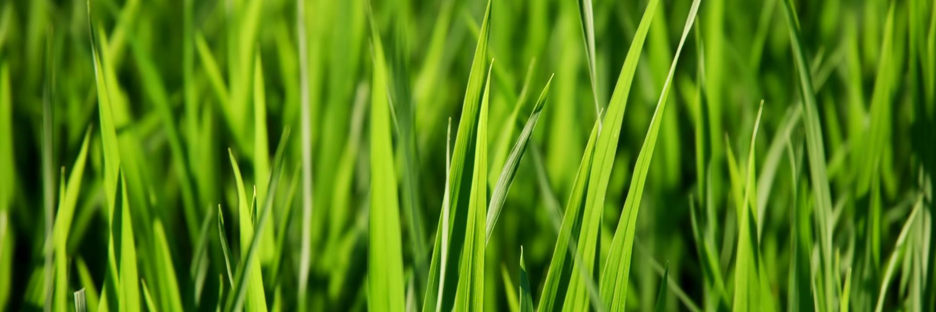 Dmitriy_SaB's profile banner image