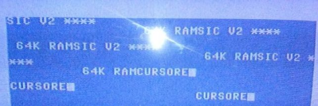 Long haired Fox at a reasonable price 🔞 banner