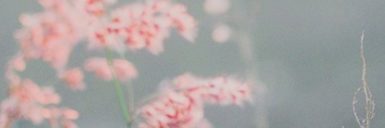 MKTQUICK's profile banner image