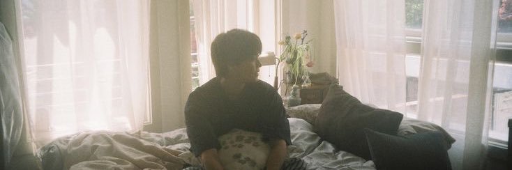 lilylapinn's profile banner image