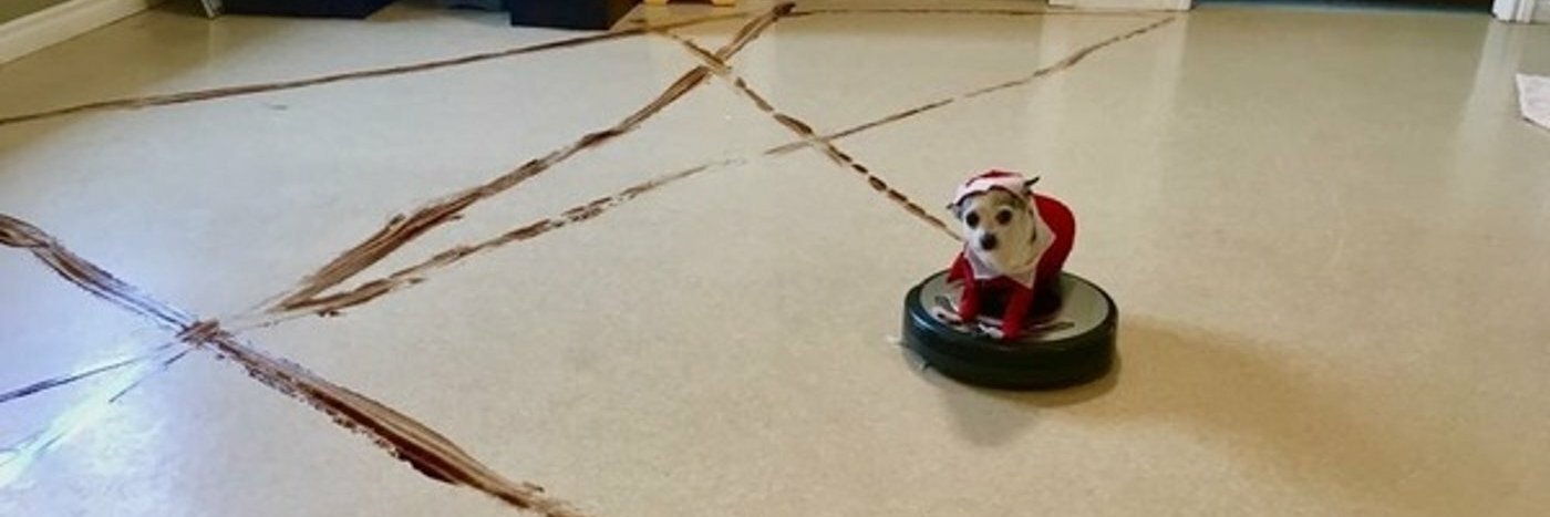 karumiji's profile banner image