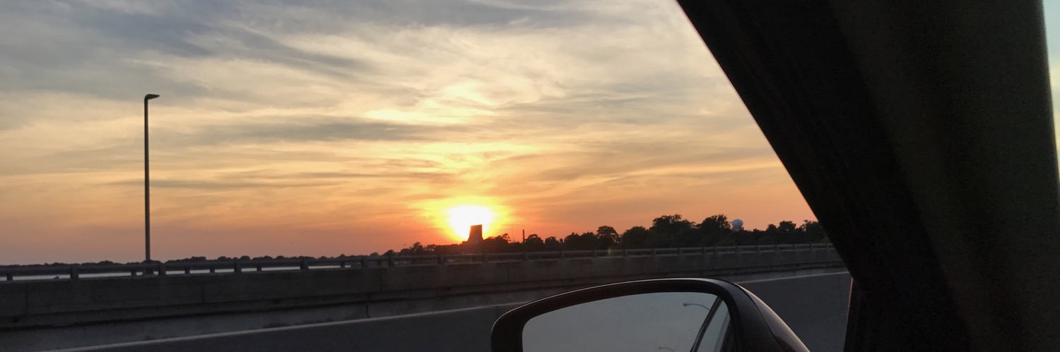 Lizzie Michelle banner