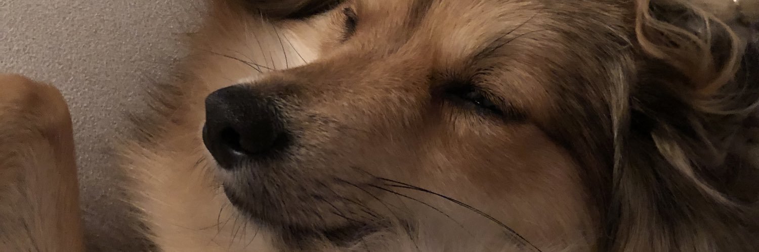 scavix's profile banner image