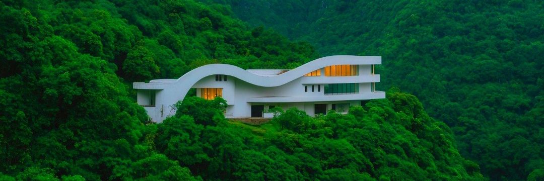 Willz 🇸🇸 banner