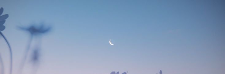 つき banner