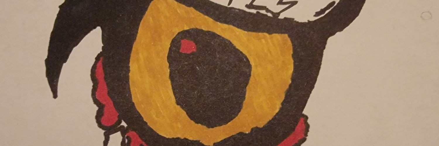 Aquila.Eyes🪶👁🌟 banner