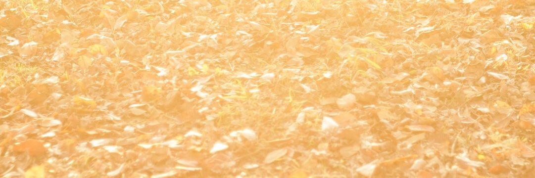 Kenshu Shintsubo 新津保建秀 banner