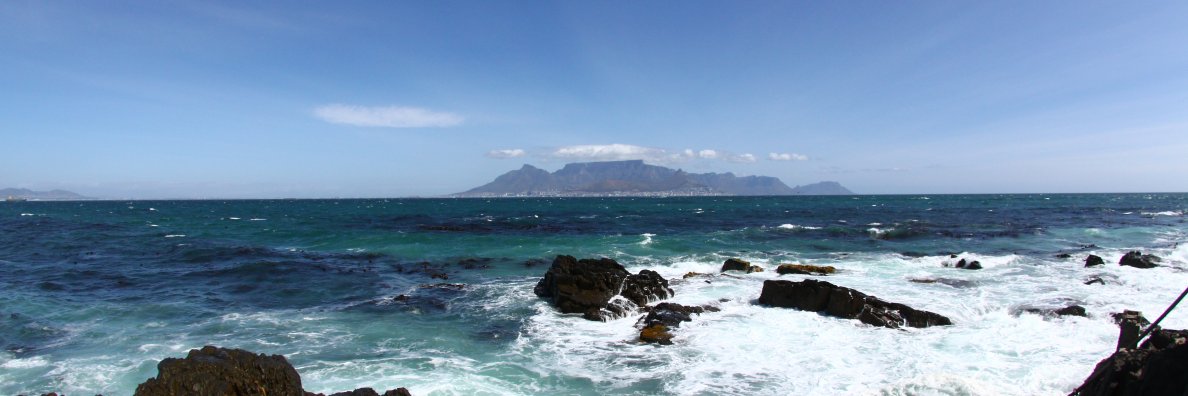 Ilya Dmitrichenko banner