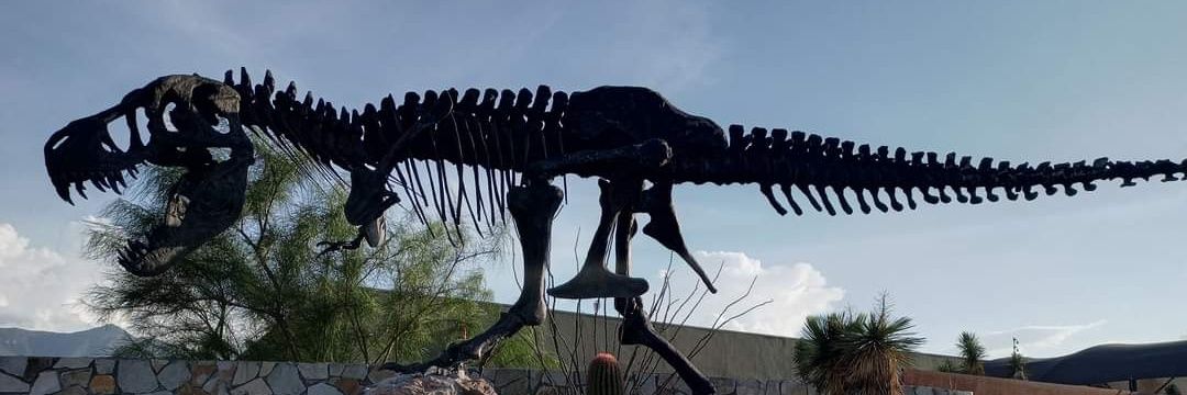 Sebasceratopsrex banner