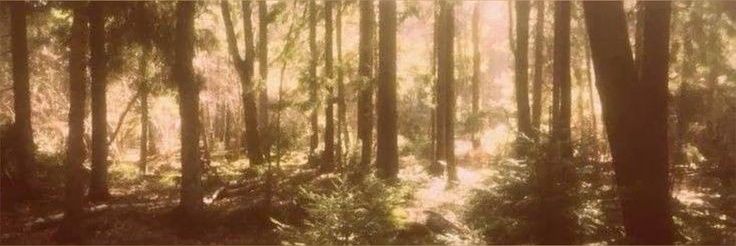 𝑨𝒈𝒖𝒔 ⋆ banner