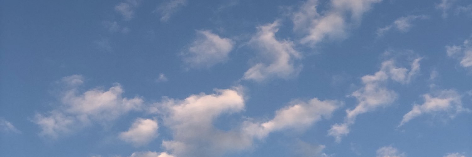 l4isrm's profile banner image