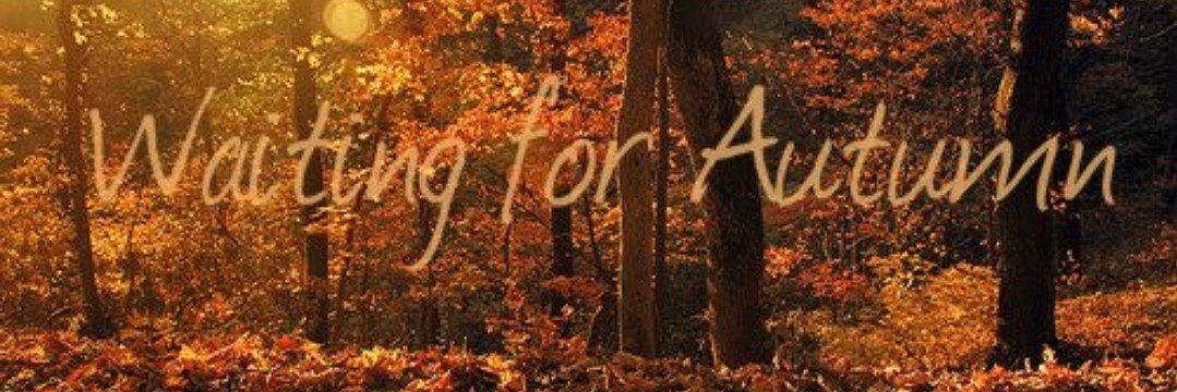 ArchaicGothic's profile banner image