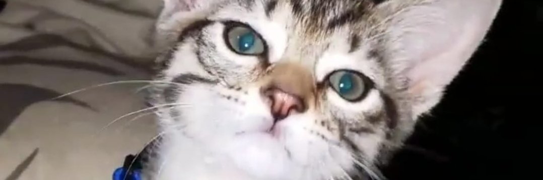 EazySoda's profile banner image