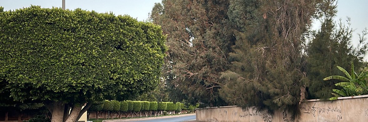 عبدالرحمن banner