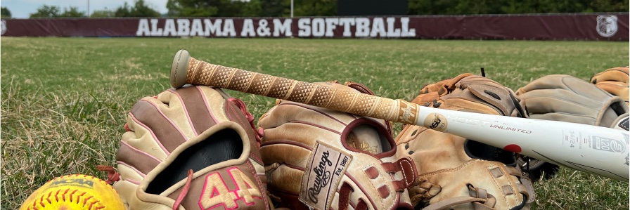 Alabama A&M Softball's banner