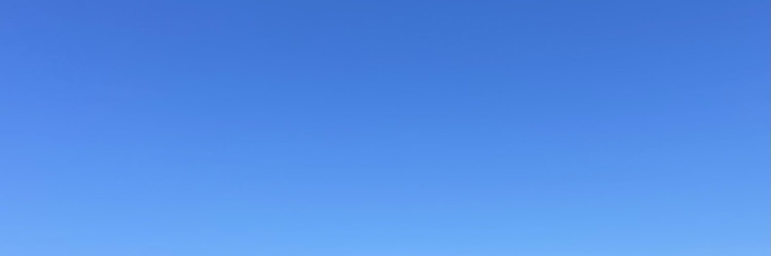 Ellie Ospeck banner