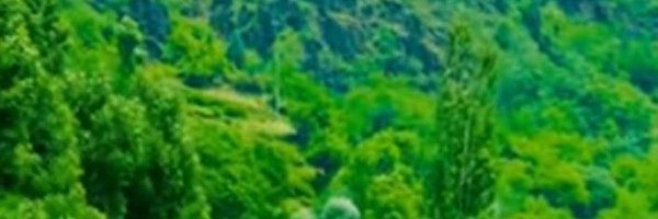 Bajrang284 Profile Banner