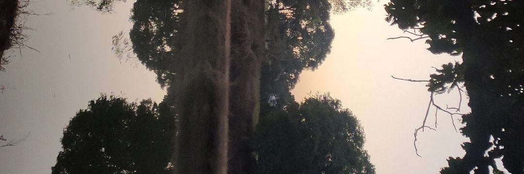 Akanksha Mehta banner