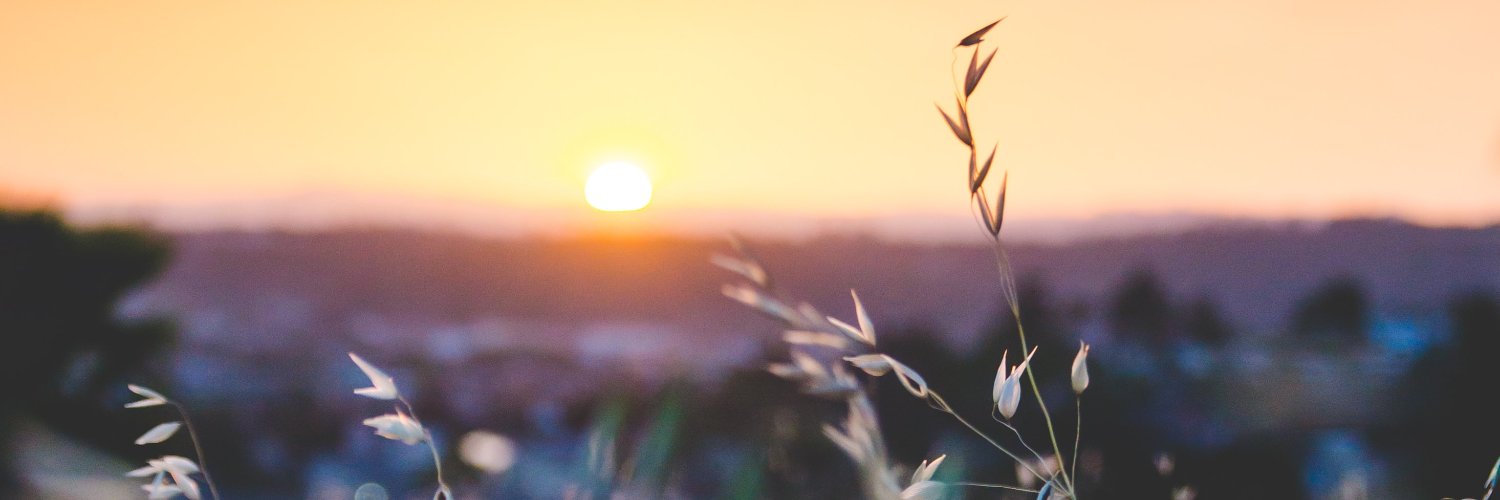 FreshFromAlex's profile banner image