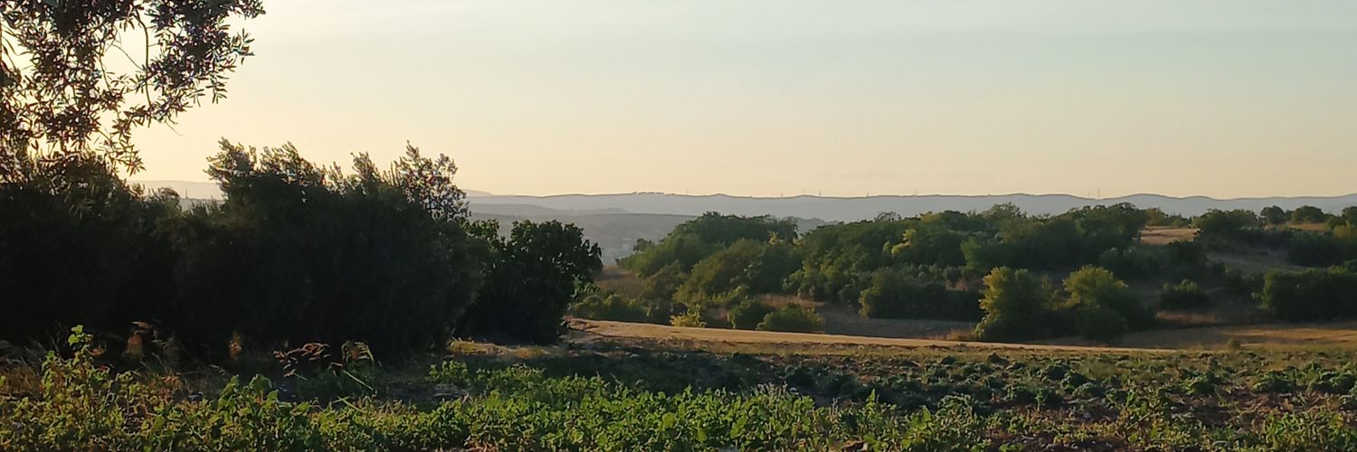 Katzeablaniz's profile banner image