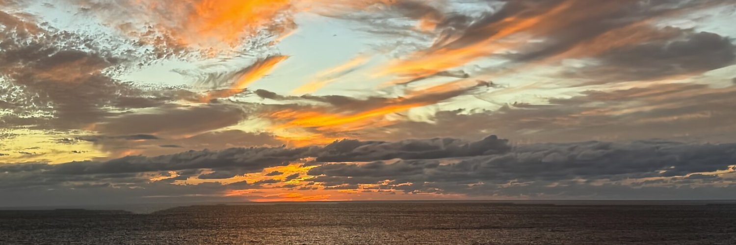 RobSpicerYVR's profile banner image