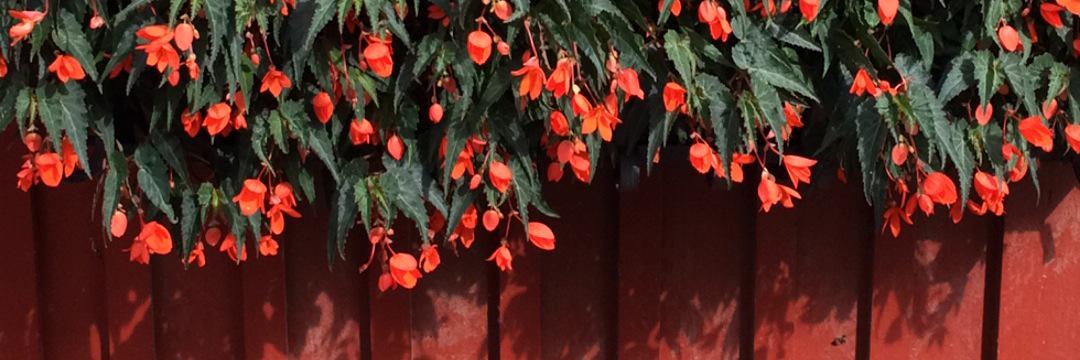 Sallyvdhorst's profile banner image