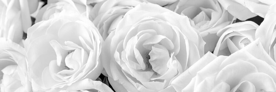 kellydanielle24's profile banner image