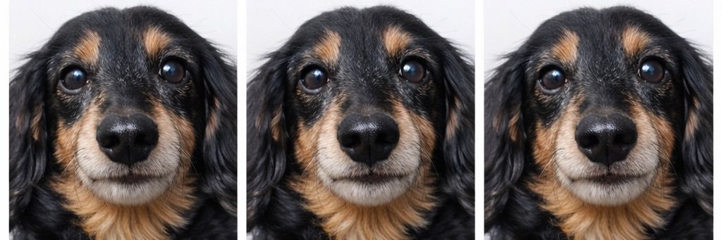 心來屑ナ【LΩPARA】 banner