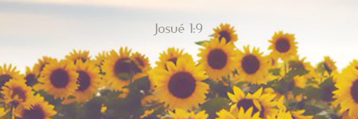 Mariavidesp's profile banner image